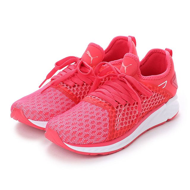 ignite 4 netfit