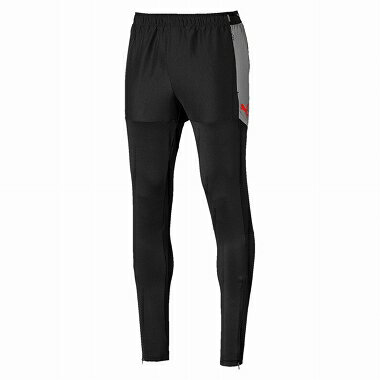 puma ftblnxt pant