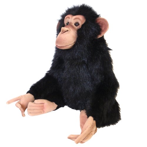 Hansa ハンサ チンパンジー サル 49 ギフト対象外 リアル 動物 ぬいぐるみ プレゼント ギフト Emh Com Ua
