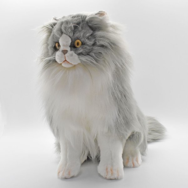 hansa cat