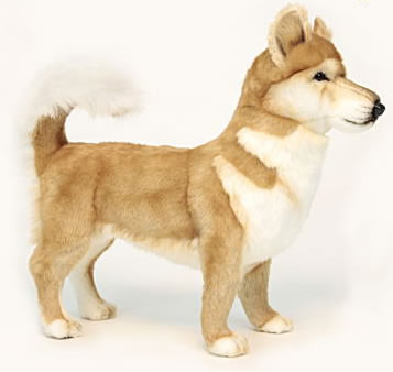 しばけん シャボン玉石けん せっけんハミガキ 140g｜【ハンズネットストア】