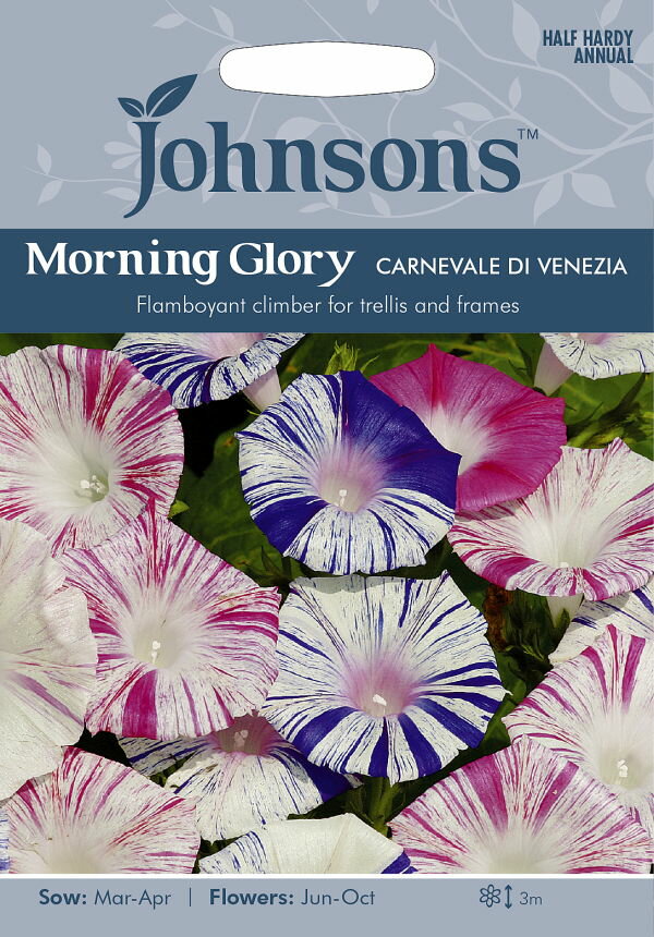 楽天市場 Johnsons Seedsplantsmans Gadenmorning Glory Carnivale Di Veneziaモーニング グローリー 西洋朝顔 カーニバル デ ヴェネツィアの種 価格比較 商品価格ナビ