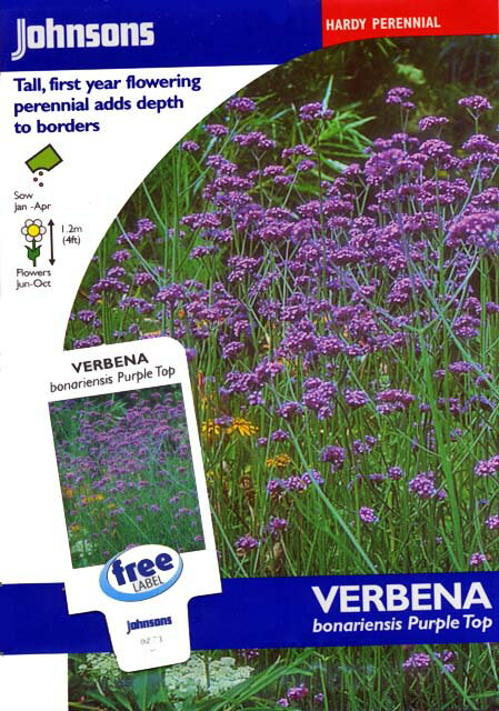 楽天市場 Johnsons Seedsverbena Bonariensis Purple Topバーベナ ボナリエンシス パープル トップの種 価格比較 商品価格ナビ