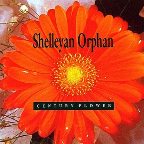 Shelleyan Orphan レコード 2枚 Shelleyan Orphan レコード 2枚 GW廃盤】TELECTU、L'ENSEMBLE