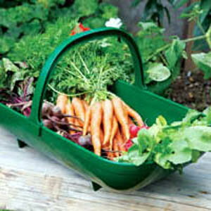 英国ガーデニング　ガーデントラッグ　小