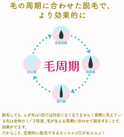 楽天市場】家庭用脱毛器 センスエピG(1台) | 価格比較 - 商品価格ナビ