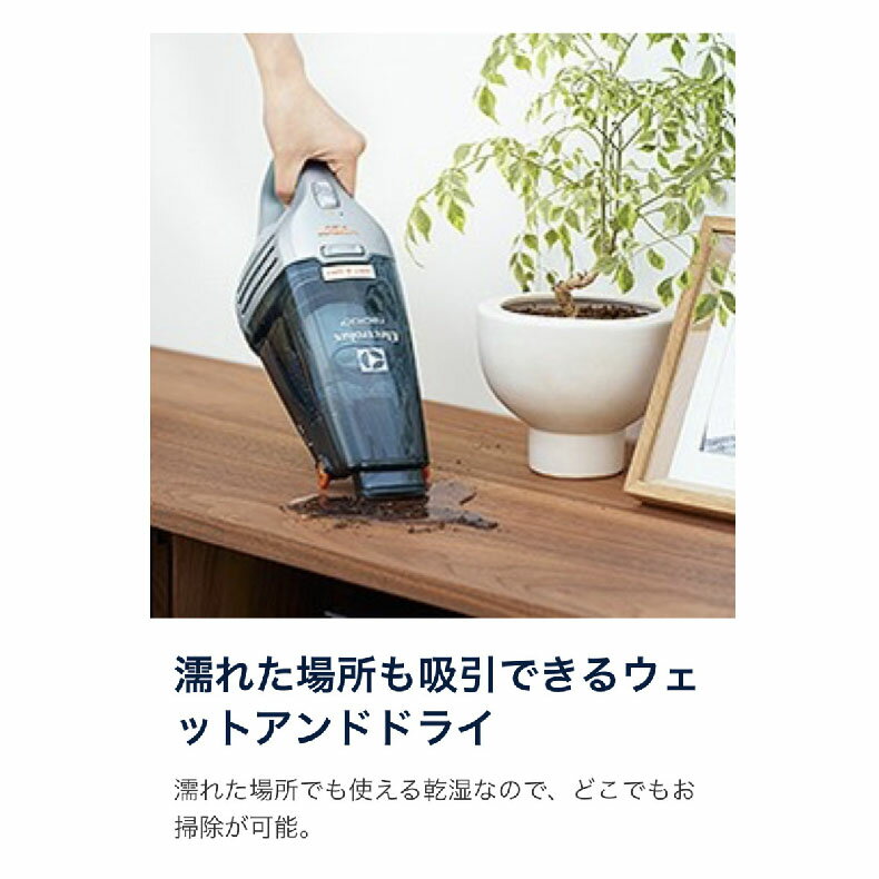 数量限定 特売 エレクトロラックス 掃除機 ハンディクリーナー Rapido Lithium Wet Dry Zb6106wd ポーラーブルー 50 Off Ihmc2021 Com
