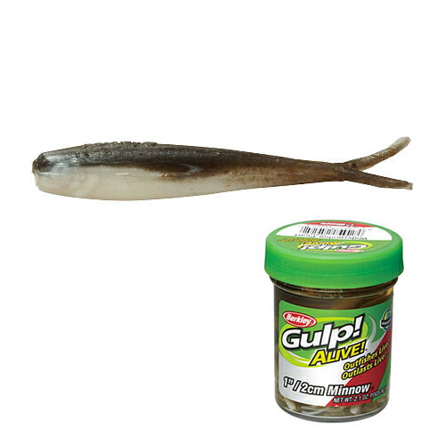 楽天市場 バークレイ ガルプ アライブミノー 1インチ Es エメラルドシャイナー 価格比較 商品価格ナビ 楽天市場 バークレイ ガルプ アライブミノー 1インチ Es エメラルドシャイナー 価格比較 商品価格ナビ