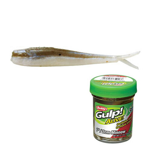 楽天市場 バークレイ ガルプ アライブミノー 1インチ Es エメラルドシャイナー 価格比較 商品価格ナビ 楽天市場 バークレイ ガルプ アライブミノー 1インチ Es エメラルドシャイナー 価格比較 商品価格ナビ