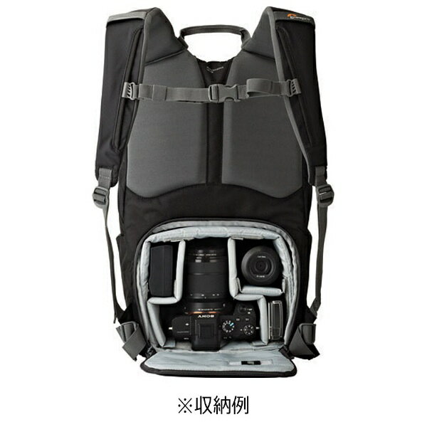 lowepro hatchback 250 aw ii