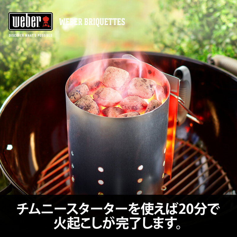 楽天市場】ウェーバー Weber バーベキュー コンロ 安心安全BBQ チャコールブリケット 炭 5kg 人環境食材に優しい100%自然素材  17651 | 価格比較 - 商品価格ナビ