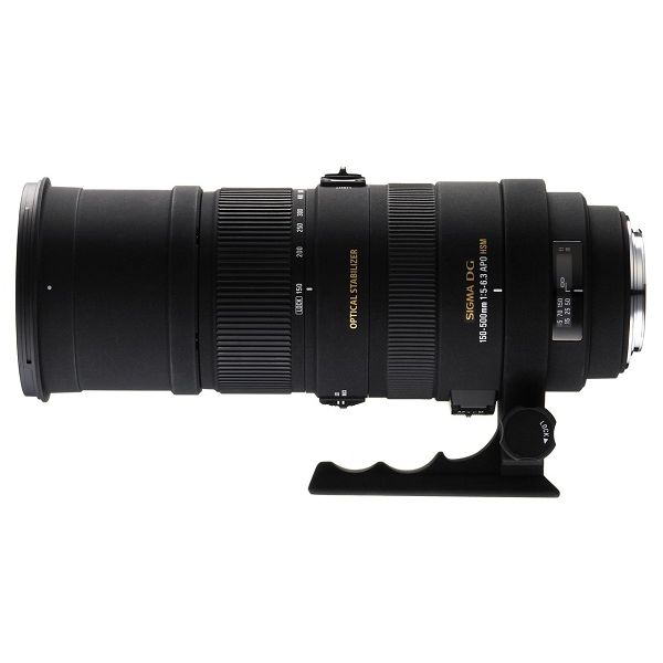 楽天市場】SIGMA 交換レンズ APO150-500F5-6.3DG OS HSM/N | 価格比較 - 商品価格ナビ