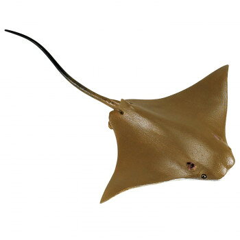 楽天市場 サファリ社フィギュア ウシバナトビエイ L 価格比較 商品価格ナビ