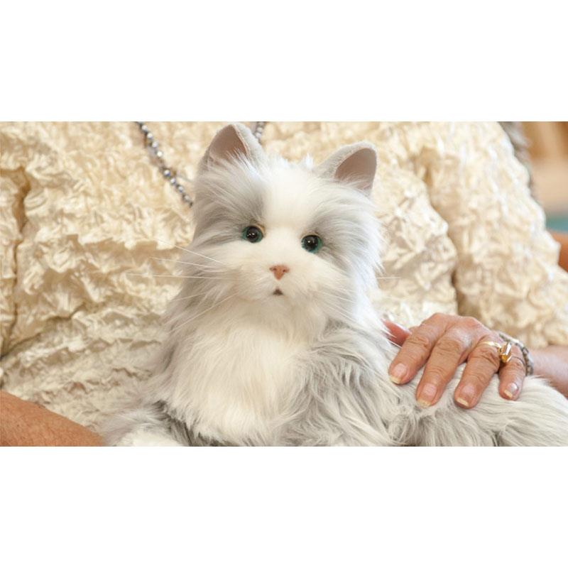 楽天市場】Ageless Innovation Joy For All COMPANION PET CAT