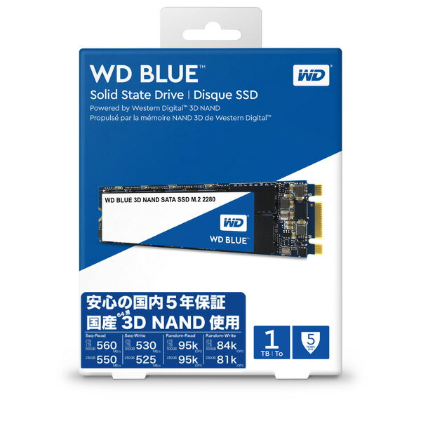 WD Blue 3D NAND SATA SSD WDS100T2B0B