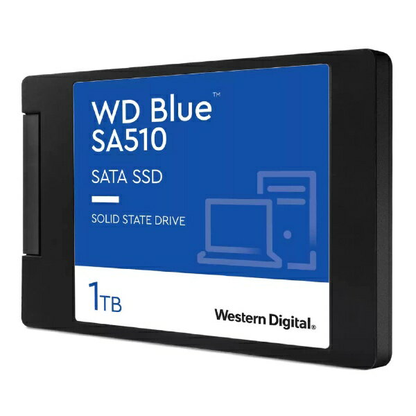 WD Blue SA510 SATA SSD WDS100T3B0A 1TB