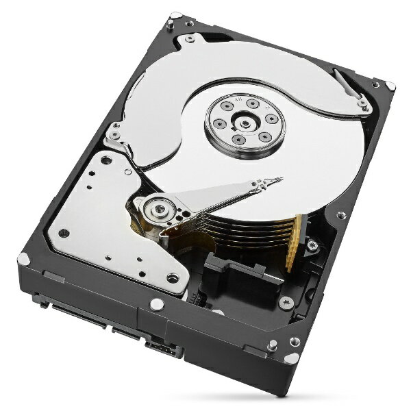 Seagate 内蔵HDD ST6000VN001