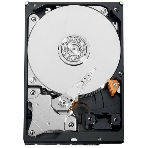 WESTERN DIGITAL WD AV-GP 3.5インチ内蔵HDD 1TB SATA6.0Gb/s IntelliPower 64MB WD10EURX