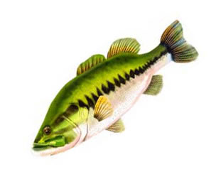 お魚クッション ブラックバス 全長:約 抱き枕にも u003c0832955002019u003e