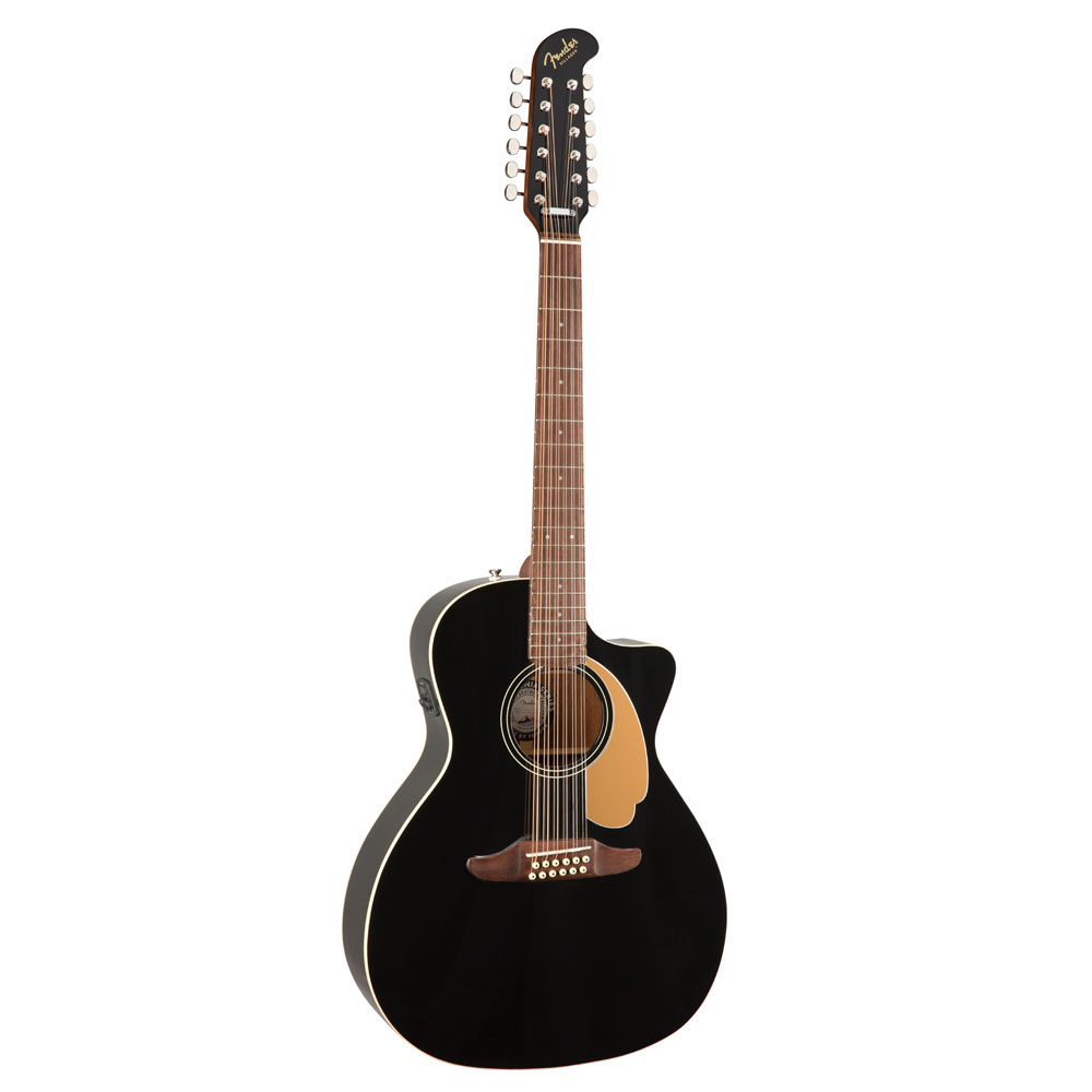 Fender Villager 12-String Black オンライン質屋 - mirabiran.com