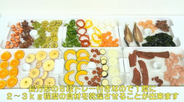 楽天市場】食品乾燥機 ドライフルーツメーカー ドラミニ | 価格
