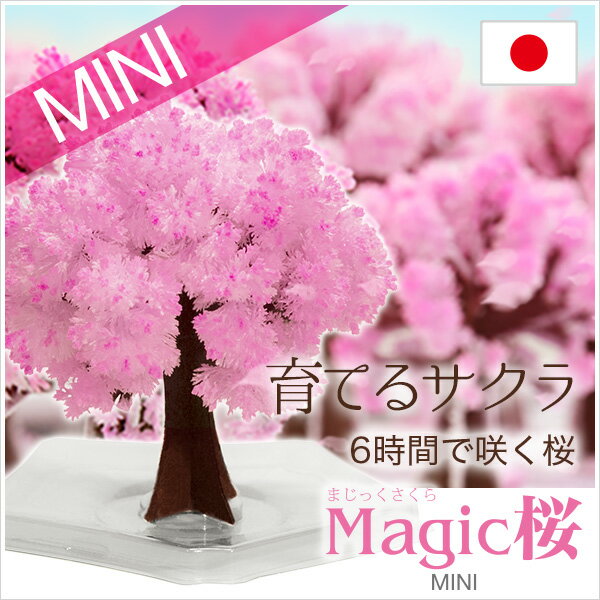 楽天市場 Magic桜ミニ 手作りで作る桜の木 価格比較 商品価格ナビ