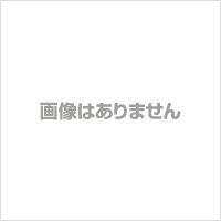 【楽天市場】次亜塩素酸ナトリウム サンラックs | 価格比較 - 商品価格ナビ