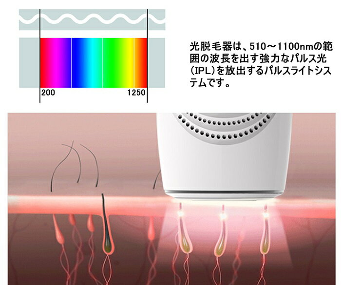 楽天市場】DEESS ipl脱毛器 GS-588 | 価格比較 - 商品価格ナビ